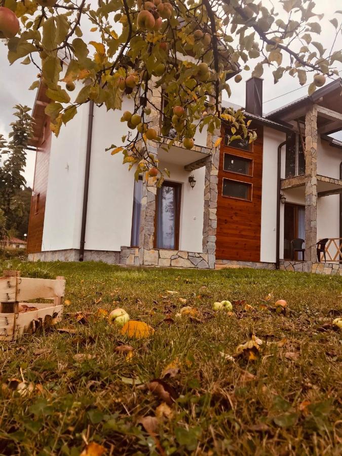 Vila Montenegrina 科拉欣 外观 照片
